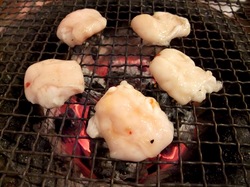 厚木シロコロホルモン千代乃のシロコロ