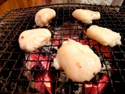 厚木シロコロホルモン千代乃のシロコロ