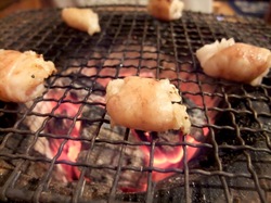 厚木シロコロホルモン千代乃のシロコロ