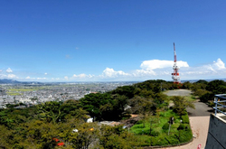 平塚湘南平のレストハウス展望台からのテレビ塔と大山や丹沢