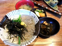 湘南江ノ島腰越しらすやの生しらすと釜揚げしらす二色丼