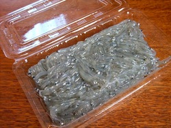 湘南江ノ島腰越しらすや(勘浜水産)の生シラステイクアウト
