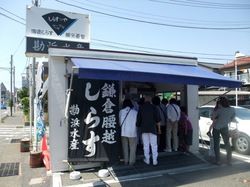 湘南腰越勘浜水産の生しらす&釜揚げしらす