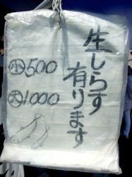 湘南腰越勘浜水産の生しらす&釜揚げしらす