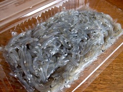 湘南腰越勘浜水産の生しらす&釜揚げしらす