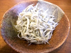 湘南腰越勘浜水産の生しらす&釜揚げしらす