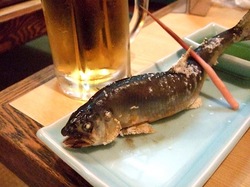 藤沢の老舗居酒屋久昇の鮎の塩焼き