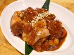 藤沢の韓国焼き肉料理湘南肉豚屋のホルモンミックス