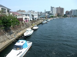 湘南江ノ島片瀬海岸の生しらす&シラス専門店浜野水産湘南丸の境川河口