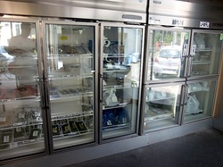 湘南江ノ島片瀬海岸の生しらす&シラス専門店浜野水産湘南丸の店内ショーケース