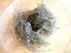 湘南江ノ島片瀬海岸の生しらす&シラス専門店浜野水産湘南丸の生シラス