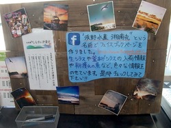 湘南江ノ島片瀬海岸の生しらす&シラス専門店浜野水産湘南丸のフェイスブックページ