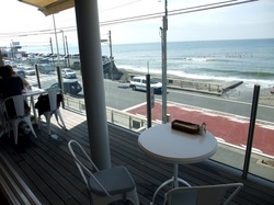 湘南鎌倉七里ガ浜bills(ビルズ)の店内