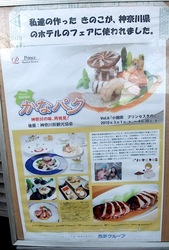 鎌倉小町通りのあげまっしゅ小田原産プリンセスきのこ