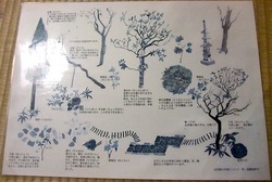 ビーフシチューで有名な北鎌倉去来庵の庭園