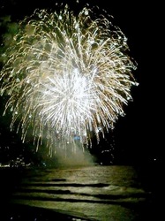 �Ó�E���q�̉ԉΑ��u���q�ԉΑ��v