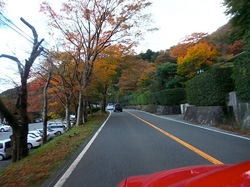 箱根紅葉ドライブ箱根湯本〜仙石原
