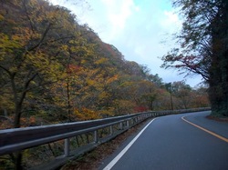 箱根紅葉ドライブ箱根湯本〜仙石原