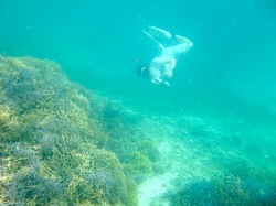 湘南から沖縄八重山旅行小浜島はいむるぶしから嘉弥真島シュノーケリング