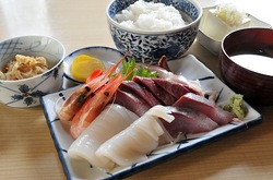 新潟県佐渡島の海鮮料理は両津港いさりびの刺身定食