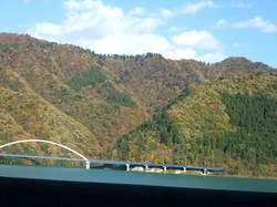 丹沢大山国定公園ヤビツ峠の紅葉ドライブ散策