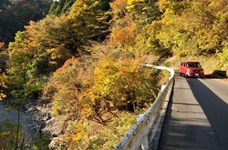 丹沢大山国定公園ヤビツ峠の紅葉ドライブ散策