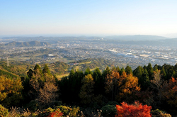 丹沢大山国定公園ヤビツ峠の紅葉ドライブ散策菜の花台展望台