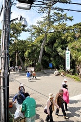 パソコン遠隔操作ウイルス事件江ノ島の地域ネコ「裕(ゆたかくん)」の防犯カメラ