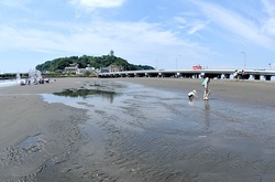 �]�m���̃g���{�����ۂŊ������ɊC�݂ƒn������