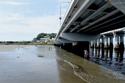 �]�m���̃g���{�����ۂŊ������ɊC�݂ƒn������