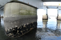 �]�m���̃g���{�����ۂŊ������ɊC�݂ƒn������