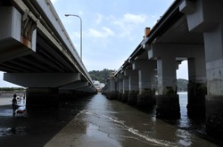 �]�m���̃g���{�����ۂŊ������ɊC�݂ƒn������