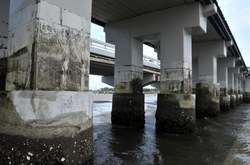 �]�m���̃g���{�����ۂŊ������ɊC�݂ƒn������