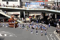 藤沢市民まつり2013の湘南神輿パレード