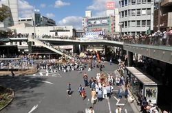 藤沢市民まつり2013の湘南神輿パレード
