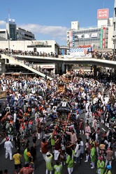 藤沢市民まつり2013の湘南神輿パレード