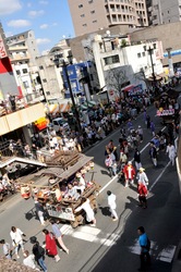 藤沢市民まつり2013の湘南神輿パレード