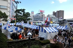 藤沢市民まつり2013の湘南神輿パレード