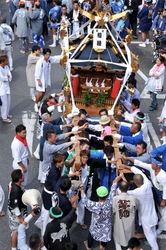 藤沢市民まつり2013の湘南神輿パレード