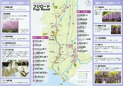 藤沢市の引地川フジ史跡ロードと境川フジ水辺ロード
