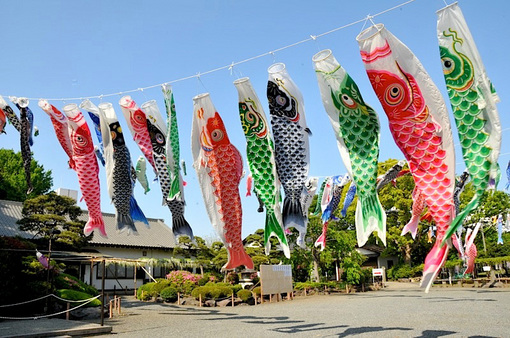 白旗神社＠藤沢本町の鯉のぼり2014