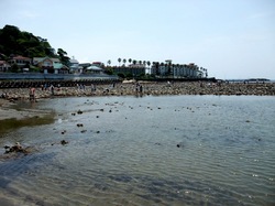 鎌倉材木座の干潮で現れる和賀江島