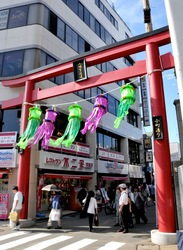 鎌倉鶴岡八幡宮の七夕祭りの小町通り