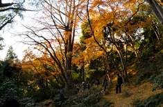 鎌倉紅葉スポット天園ハイキングコースの獅子舞