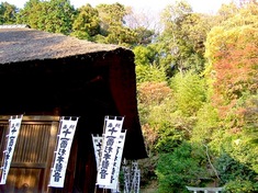 鎌倉の紅葉スポット杉本寺