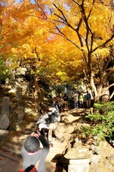 鎌倉紅葉スポット天園ハイキングコース建長寺の半蔵坊