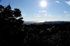 鎌倉紅葉スポット天園ハイキングコース