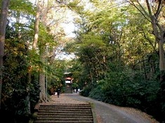 鎌倉紅葉スポット鎌倉駅周辺の妙本寺