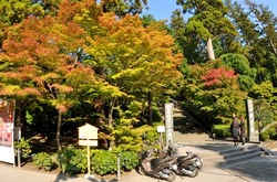 北鎌倉の紅葉散策円覚寺の山門前