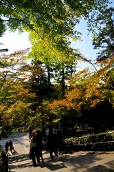 北鎌倉の紅葉散策円覚寺の山門前